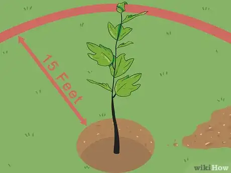 Image titled Plant Sycamore Tree Seeds Step 8