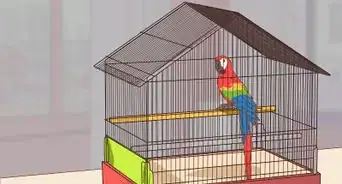 Treat Macaw Wasting Disease