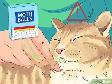 Image titled Handle Mothball Poisoning in Cats Step 2