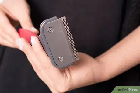 Image titled Care for Long Haired Cats Step 11