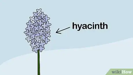 Image titled Plant Flower Bulbs Step 3