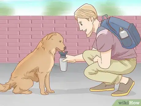 Image titled Take Your Dog Camping Step 9