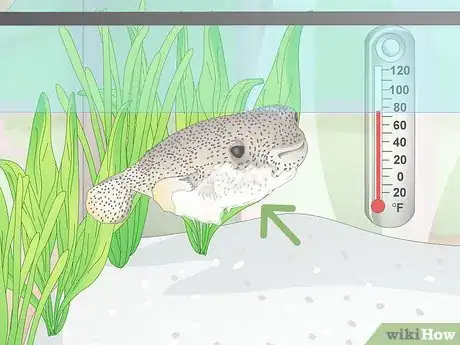 Image titled Prevent Fish From Getting Sick Step 18