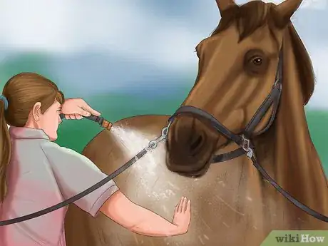 Image titled Care for Your Horse In the Winter Step 22