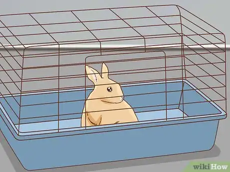 Image titled Befriend a Shy Rabbit Step 5