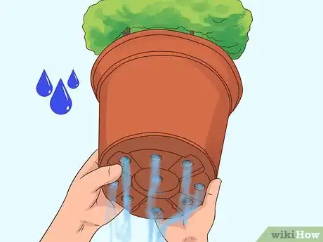 Image titled Maintain a Planter Step 1