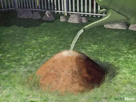 Image titled Protect Dogs from Poisonous Insects Step 1