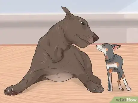 Image titled Bond with a Shy Dog Step 13