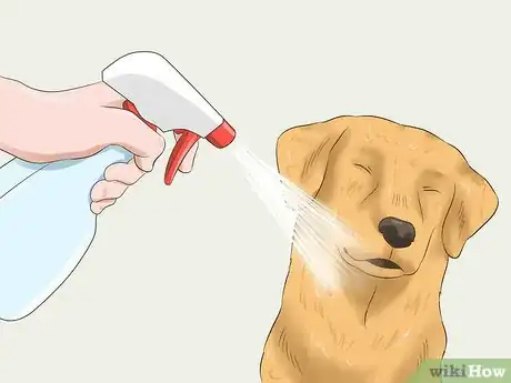 Image titled Protect Your Pets from Summertime Pests Step 31