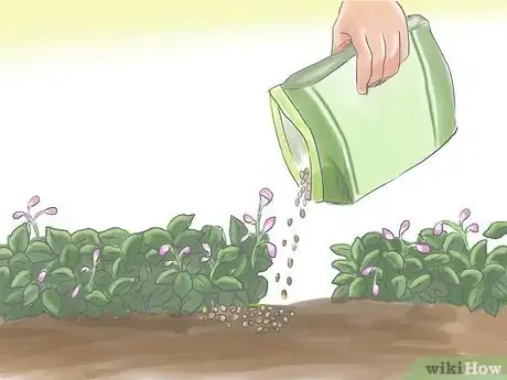 Image titled Fertilize Impatiens Step 3