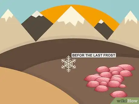 Image titled Sprout Sweet Potatoes Step 03