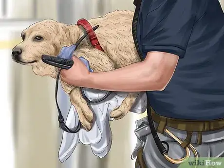 Image titled Determine Where to Get Your Dog Step 9