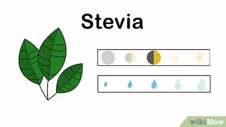 Image titled Grow an Herbal Tea Garden Step 15