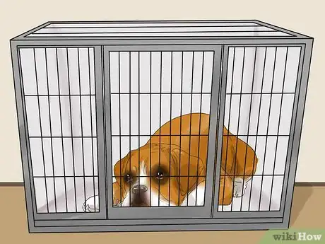 Image titled Get Your Dog to Welcome Your Baby Step 18