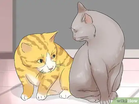 Image titled Prevent Fights Between Cats Step 15