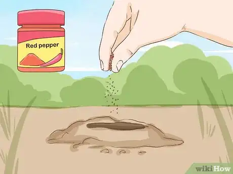 Image titled Get Rid of Garden Moles Step 7