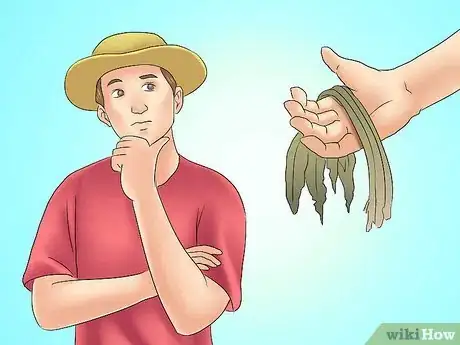 Image titled Transplant Resurrection Lilies Step 5