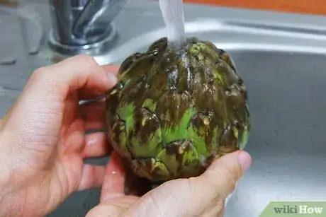 Image titled Juice Artichokes Step 1