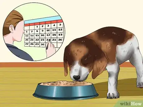 Image titled Love Your Puppy Step 21