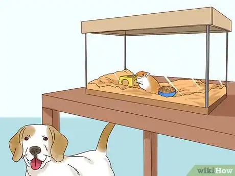 Image titled Keep a Gerbil Safe Around Other Pets Step 3