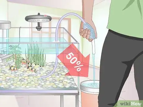 Image titled Take Care of Freshwater Fish Step 13