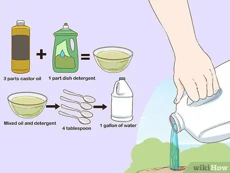 Image titled Get Rid of Garden Moles Step 9