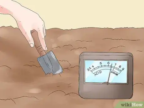 Image titled Grow Figs Step 4