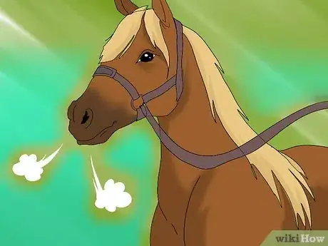 Image titled Take a Horse's Vital Signs Step 10