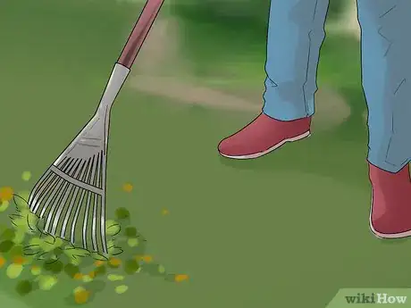 Image titled Prevent a Dog and Cat Tapeworm Infection (Dipylidium Infection) Step 7