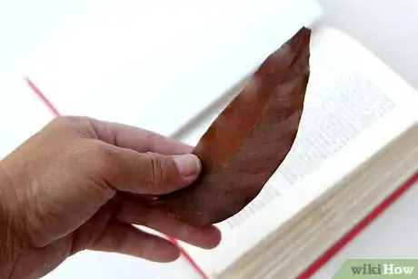 Image titled Press Leaves Step 11