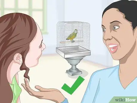 Image titled Deal with a Fearful or Stressed Senegal Parrot Step 12