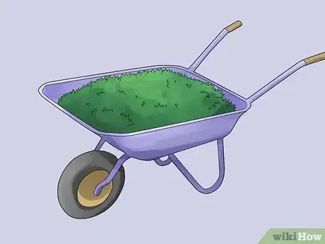 Image titled Remove an Ivy Plant Step 5