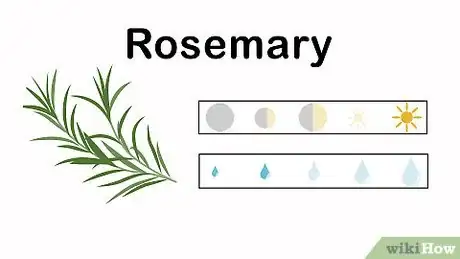 Image titled Grow an Herbal Tea Garden Step 14