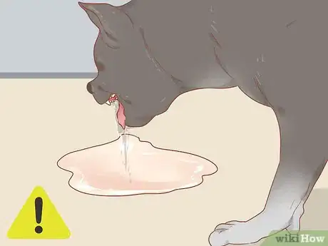 Image titled Know When Your Dog is Sick Step 8