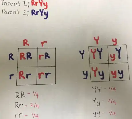 Image titled Wiki 6.gif