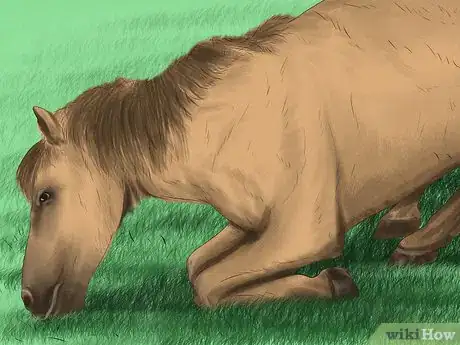 Image titled Spot Early Signs of Lameness in Horses Step 7
