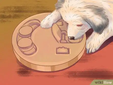 Image titled Give Your Large Dog Enough Exercise Step 10