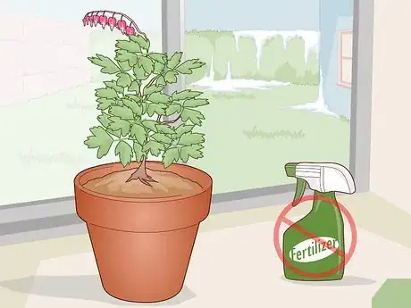 Image titled Care for a Bleeding Heart Step 18