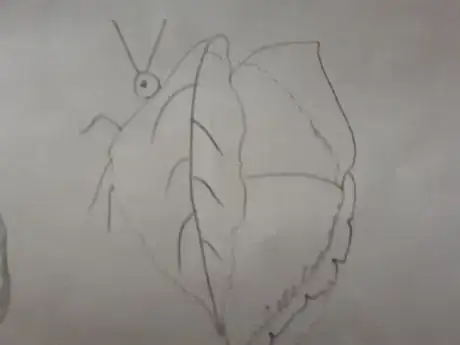 Image titled 20180706_141851