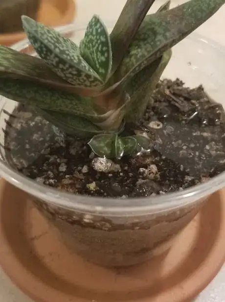 Image titled Feelsoil