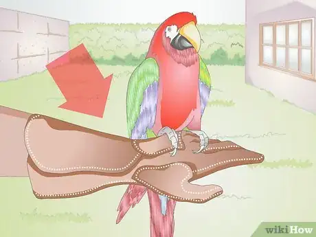 Image titled Buy Pet Training Supplies Step 12