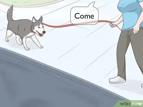 Image titled Keep Dogs Off of a Pool Cover Step 3