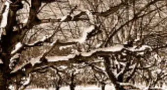 Feel Happy During a Cold Winter