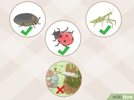 Image titled Help Protect Biodiversity Step 9