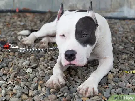 Image titled Hold a Door Open with a Coin Step 10