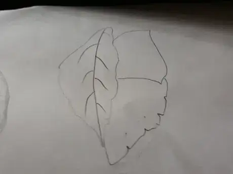 Image titled 20180706_141713