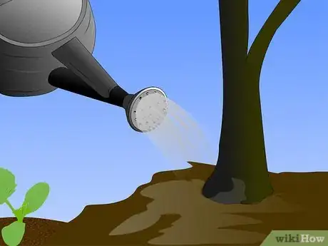 Image titled Plant a Flowering Almond Shrub Step 12