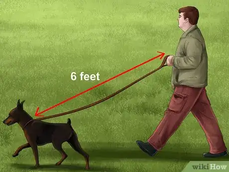 Image titled Keep Your Dog Under Control Outside Step 10