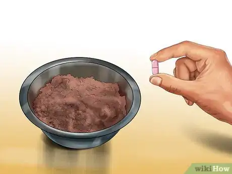 Image titled Give Monoamine Oxidase Inhibitors to a Cat Step 14