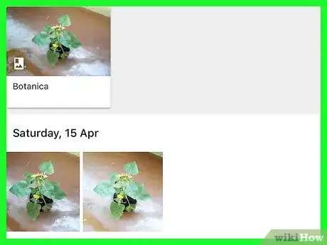Image titled Search Your Google Photos on iPhone or iPad Step 5